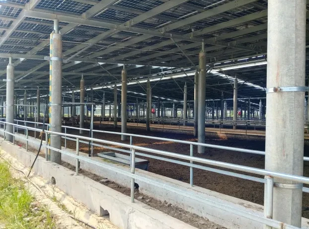 Steel Structure Design for Solar Barns: Pile-Column Portal Frame Saves 20% Cost Steel Structure Design for Solar Barns: Pile-Column Portal Frame Saves 20% Cost